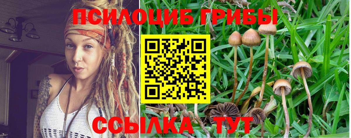 Галлюциногенные грибы Magic Shrooms  Вход с VPN  Юрга  Галлюциногенные грибы Magic Shrooms 